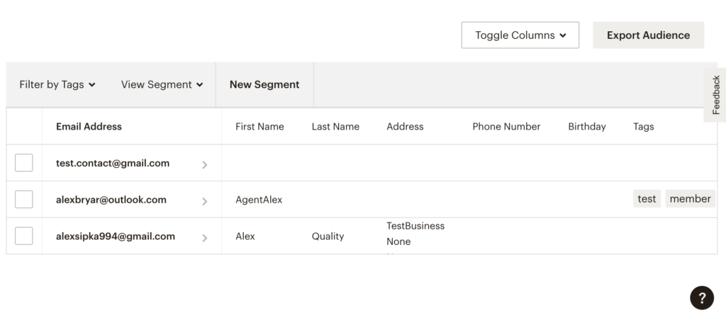 Po sėkmingo integravimo į Mailchimp buvo įtrauktas naujas prenumeratorius